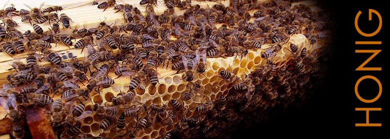 Honig aus natürlicher Bienenhaltung - Herne, Bochum